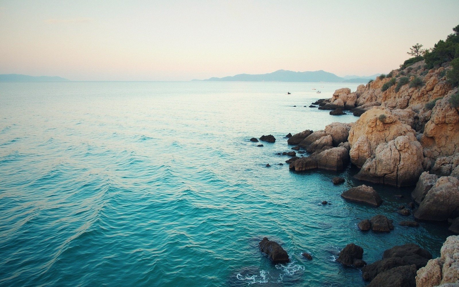 Reading the Sea: Wind, Water and When to Go
